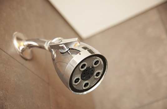 renovated shower heads